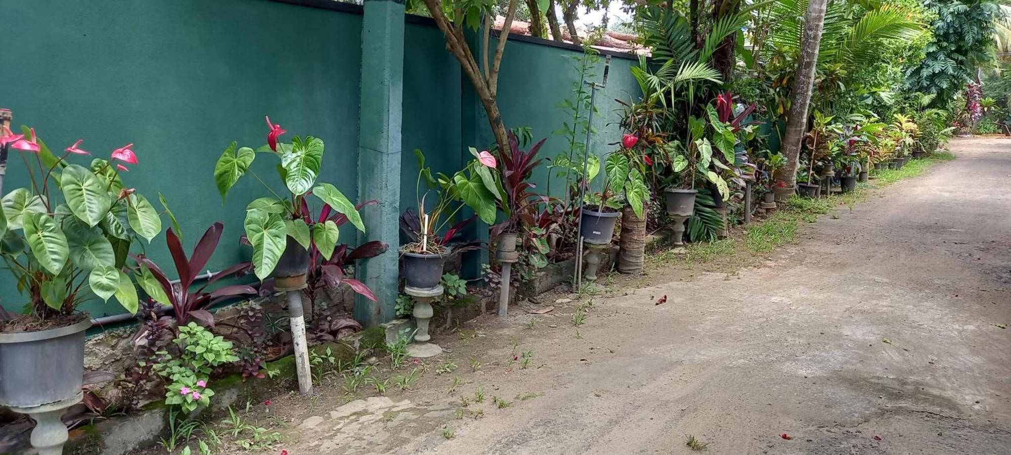 Nooit Gedacht Holiday Resort Unawatuna Exterior foto