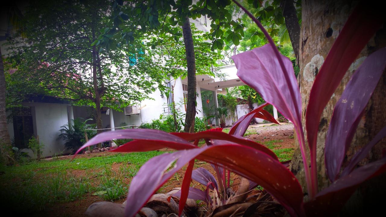 Nooit Gedacht Holiday Resort Unawatuna Exterior foto